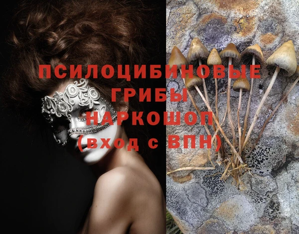 соль курить ск Новодвинск