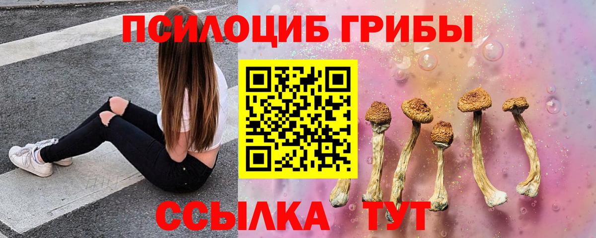 Лосино-Петровский  Галлюциногенные грибы Magic Shrooms  Вход с VPN  Галлюциногенные грибы MAGIC MUSHROOMS 